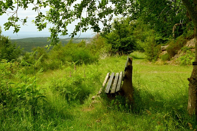 而根据OP 而根据OP