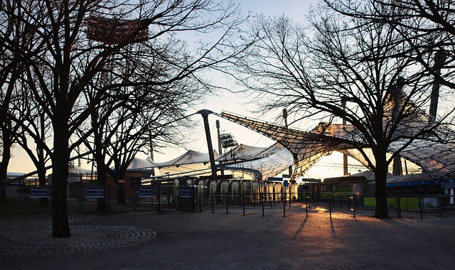 伤病与状态 伤病与状态