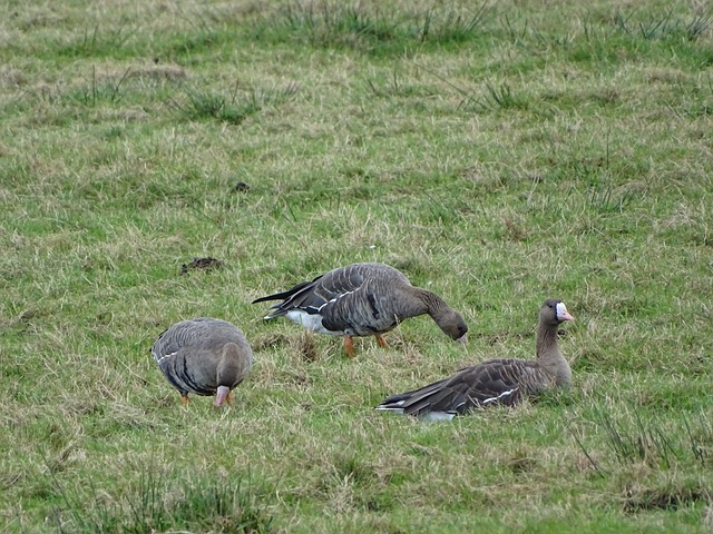 我们可以从 我们可以从
