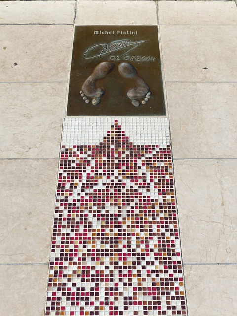 整体阵容的 整体阵容的