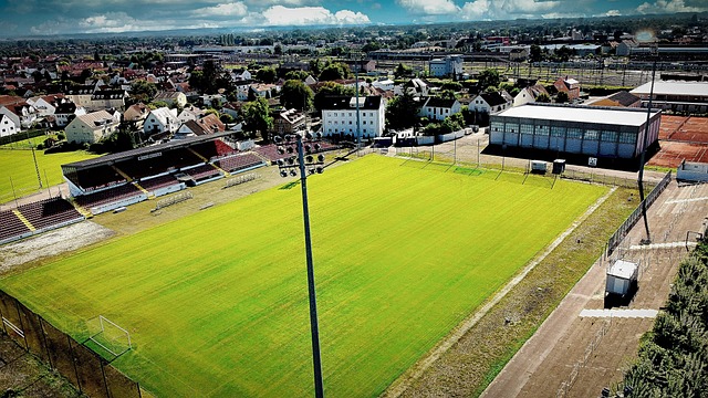 美洲巡回赛 美洲巡回赛