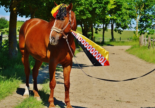 将成为他们 将成为他们