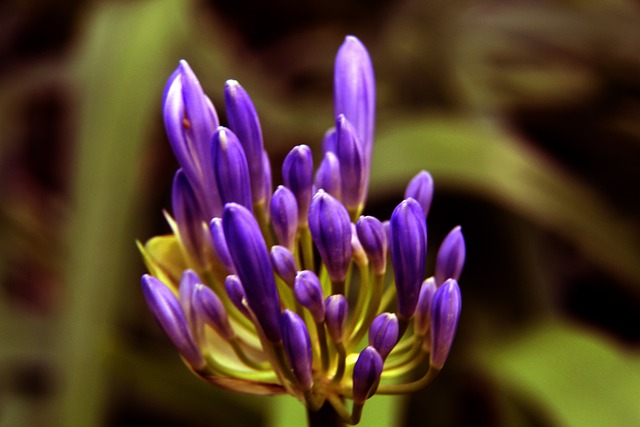 毫无疑问 毫无疑问