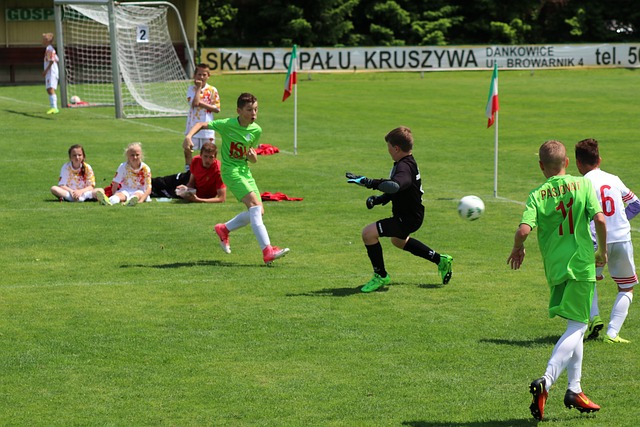 莫德里奇同 莫德里奇同