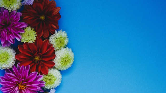 仅得到可怜 仅得到可怜