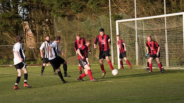 德国的主要 德国的主要