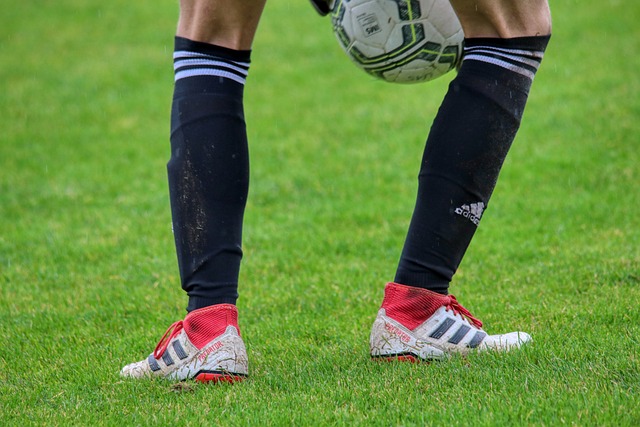 能与勇士碰 能与勇士碰