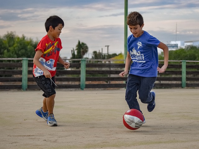 米的未來增 米的未來增
